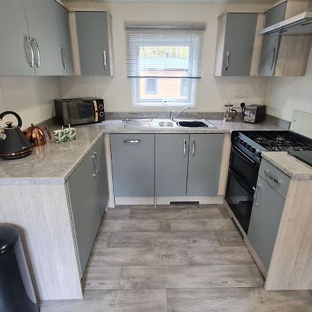 The Ceredigion - Plot 26, Woodlands Lodge Retreat, New Quay, West Wales Llanina Dış mekan fotoğraf