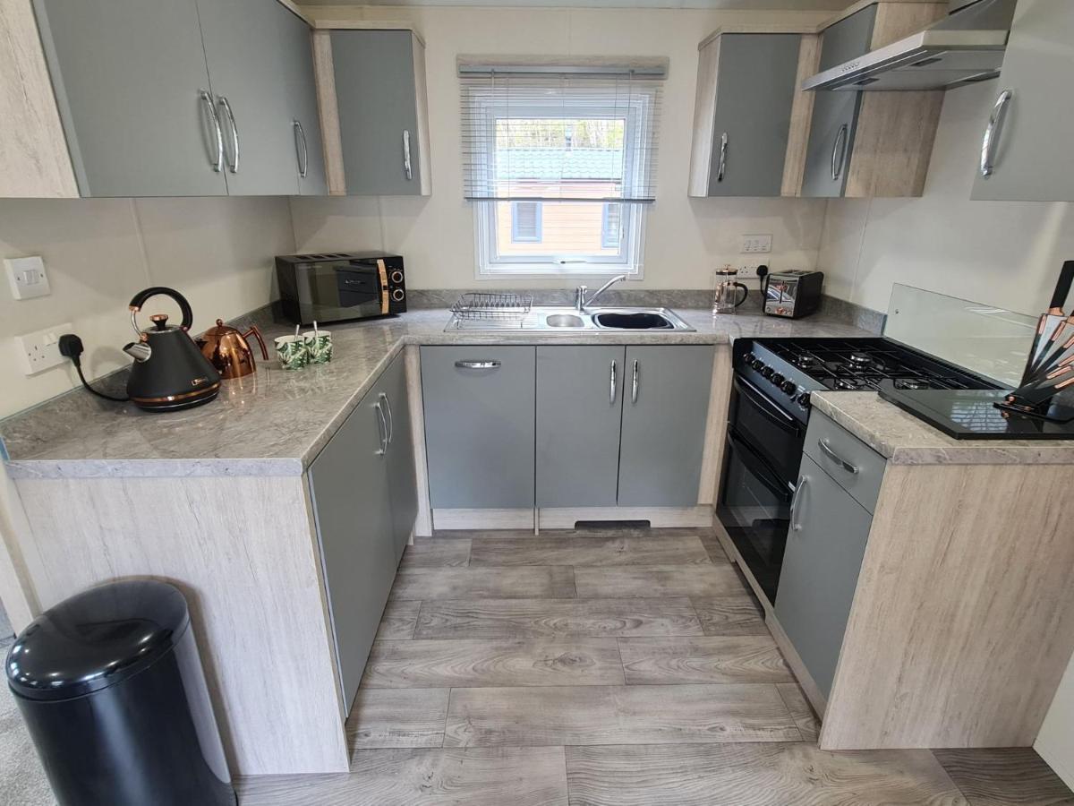 The Ceredigion - Plot 26, Woodlands Lodge Retreat, New Quay, West Wales Llanina Dış mekan fotoğraf